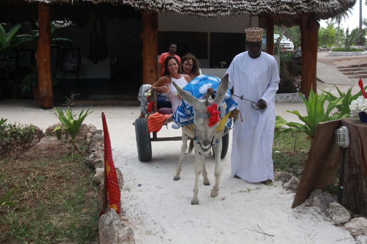 Matemwe Beach Village * Matemwe (Zanzibar)